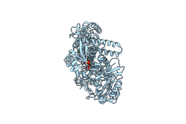 9GP8 image