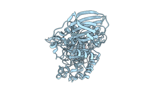 9GPC image