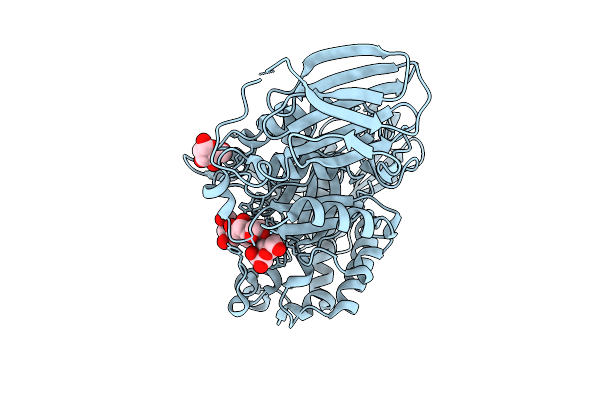9GPE image