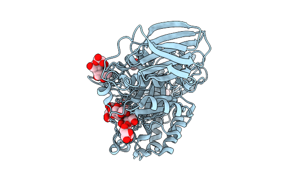 9GPF image