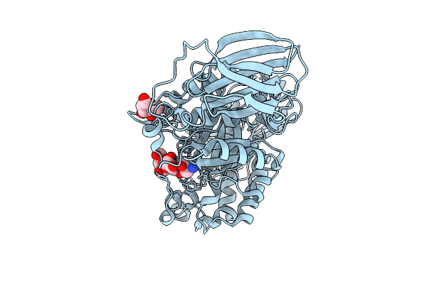 9GPG image