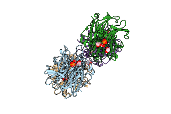 9GPH image