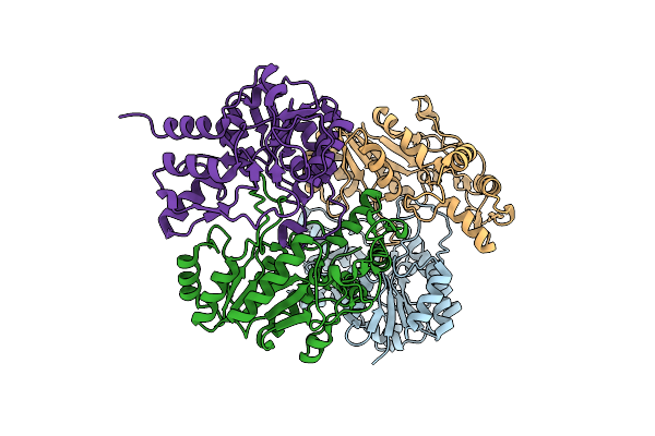 9GPI image