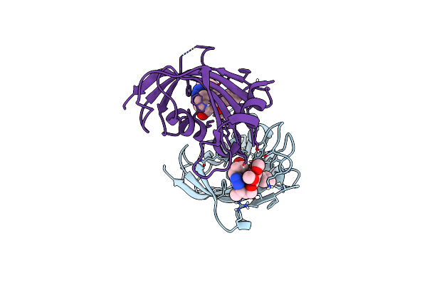 9GPT image