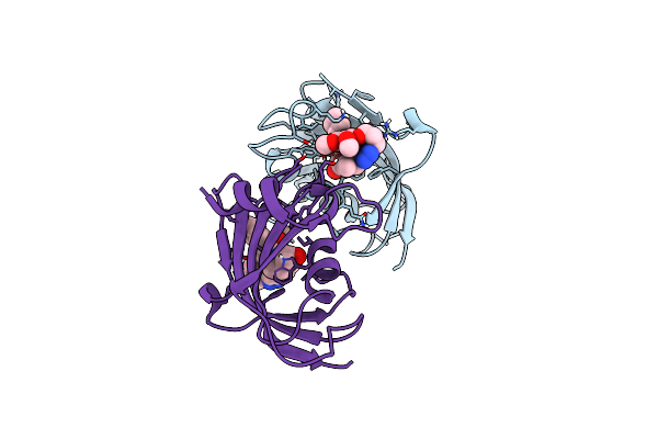 9GPW image