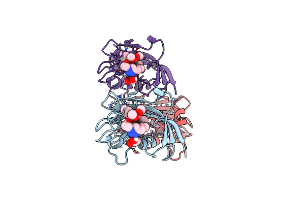 9GPY image