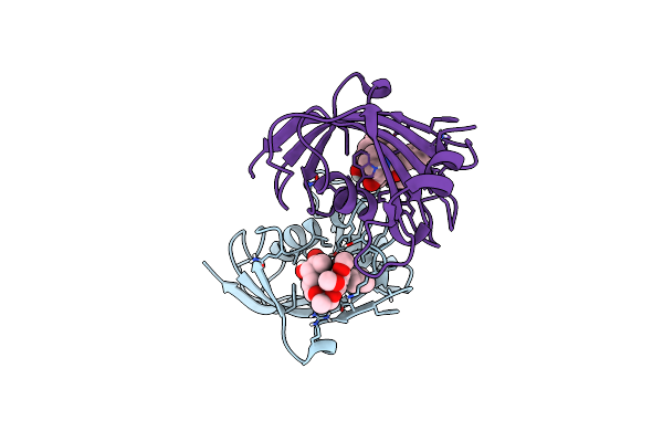 9GQI image