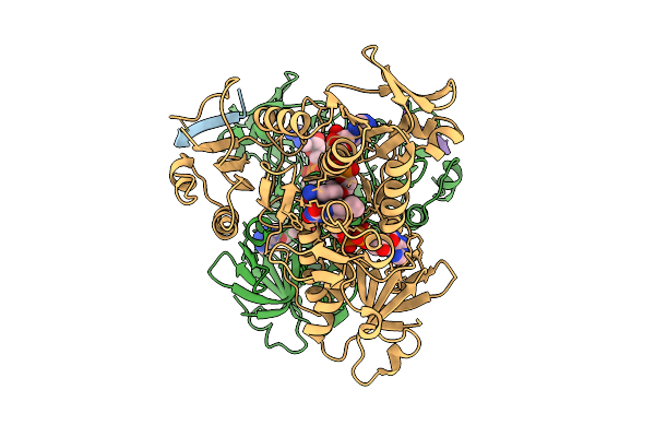 9GR0 image