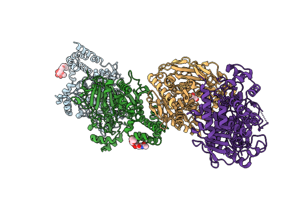 9GRB image