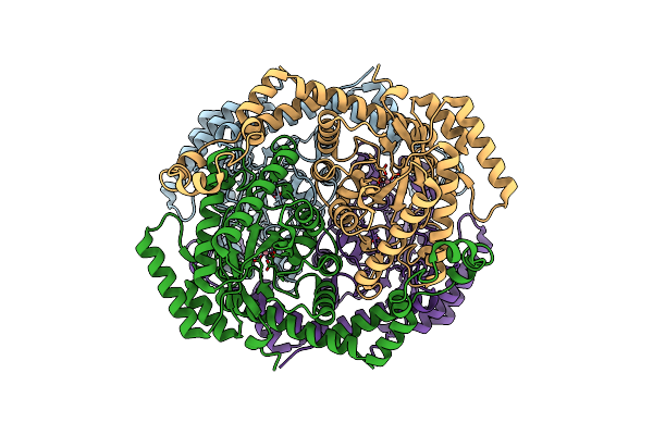 9GRD image