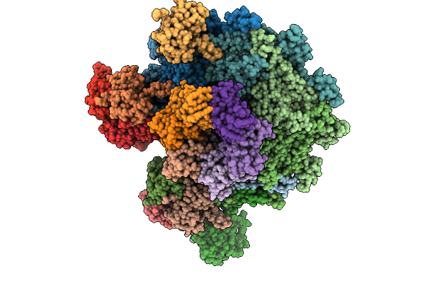 9GS0 image