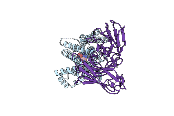 9GS5 image