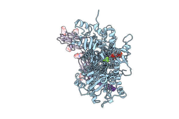 9GSD image