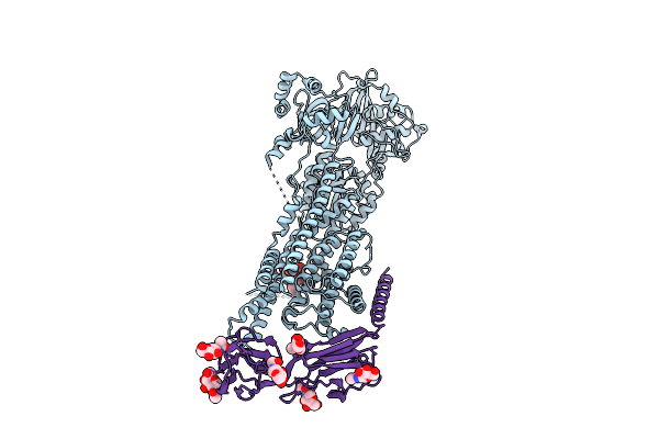 9GSE image