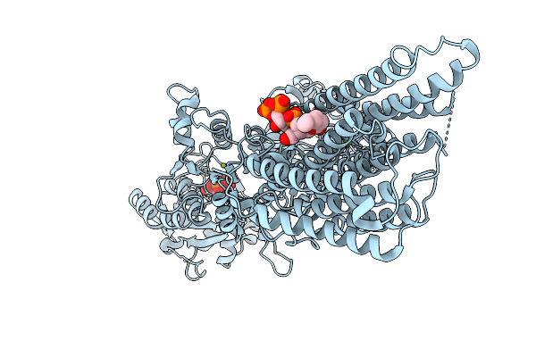 9GSI image
