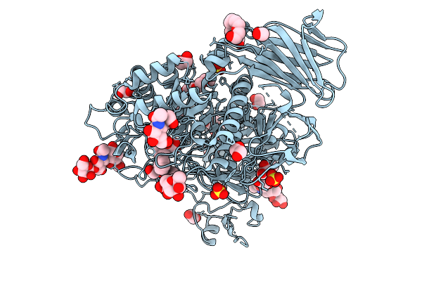 9GSV image