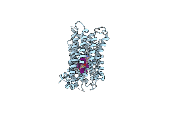 9GSZ image