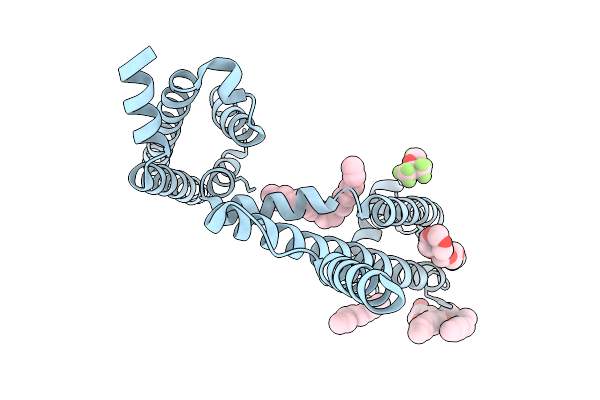 9GV1 image