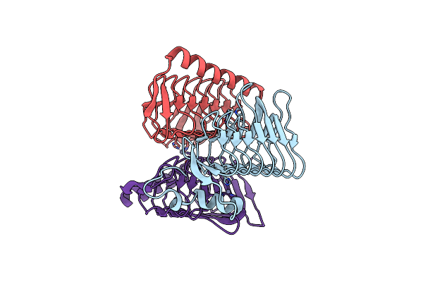 9GVA image