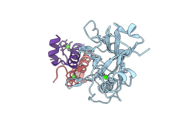 9GVB image