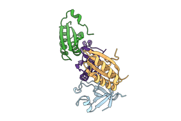 9GVC image