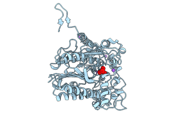 9GVD image