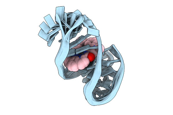9GVI image