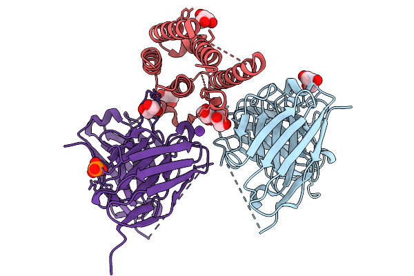 9GVO image