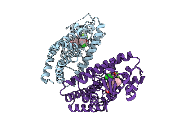 9GVP image