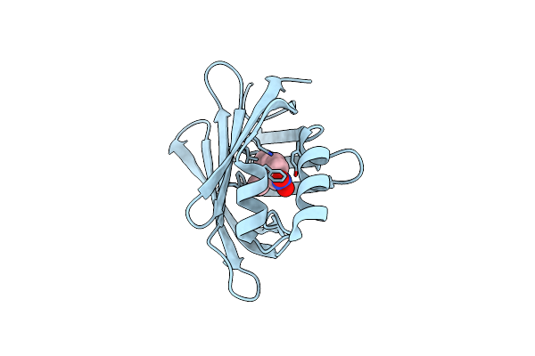 9GVY image