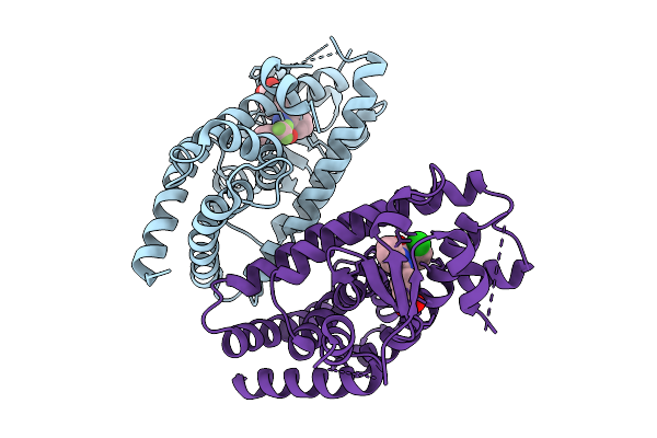 9GWP image
