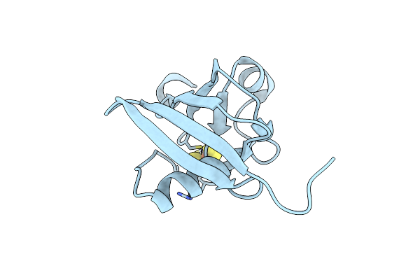 9GYN image