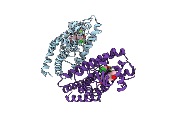 9GZI image