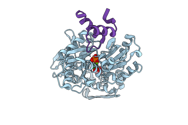 9H0C image