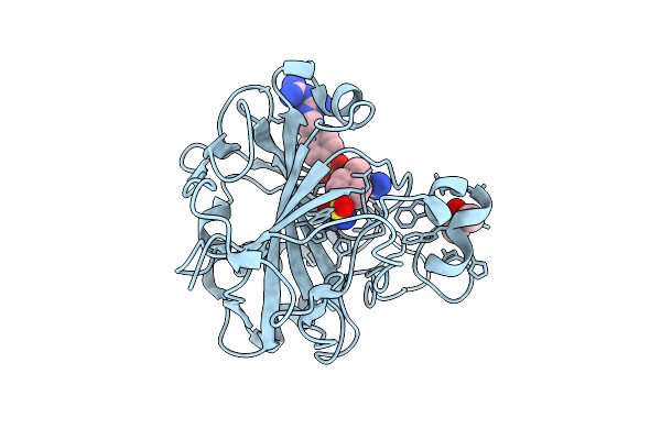 9H0V image