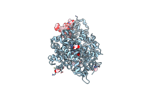 9H1D image