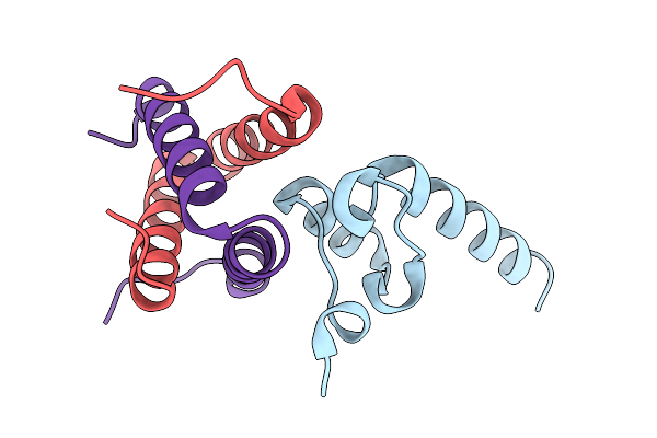 9H1N image