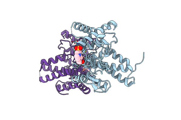 9H2D image