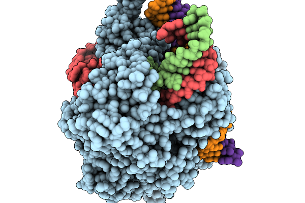 9H2G image