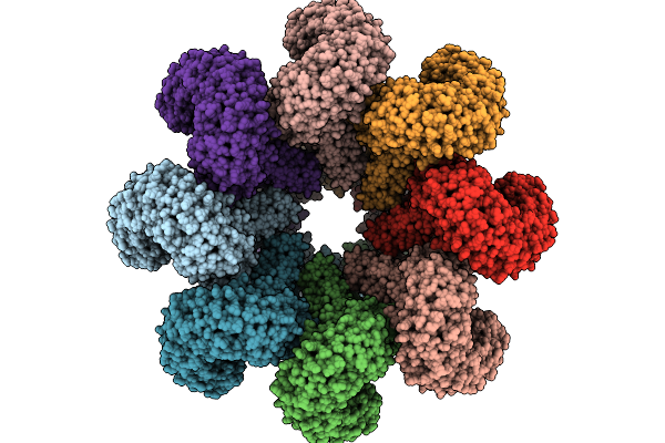 9H2L image