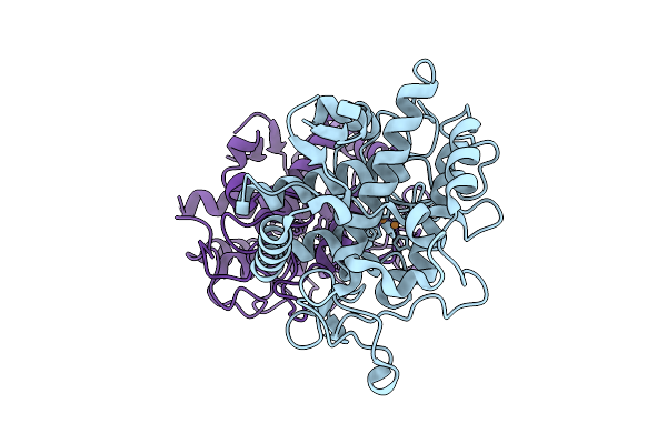 9H2N image