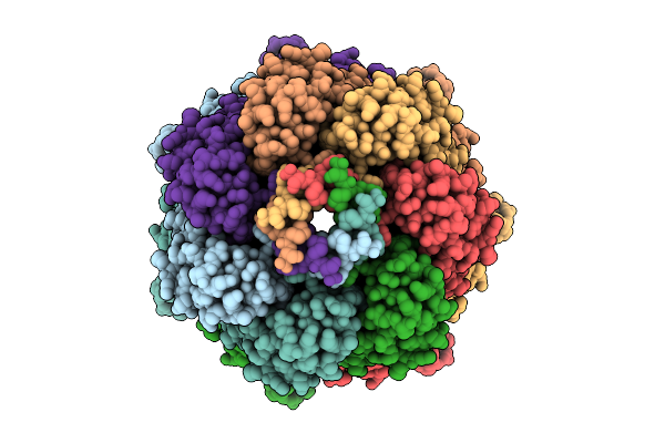 9H2P image