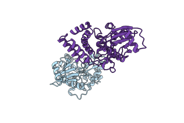 9H2Z image