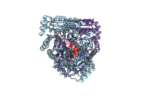 9H40 image