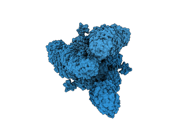 9H4P image