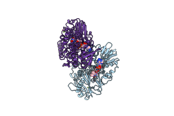 9H5Z image