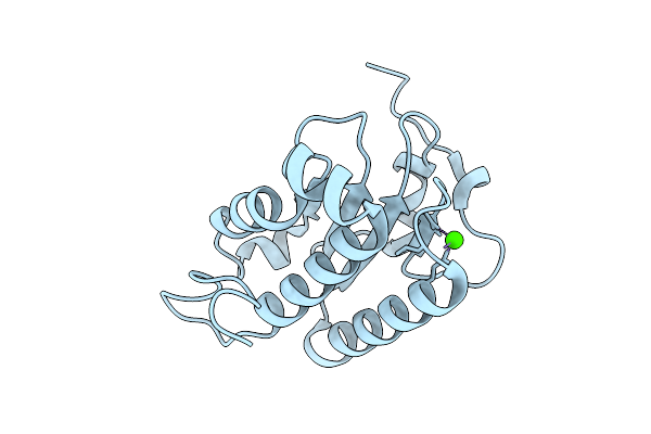 9H70 image