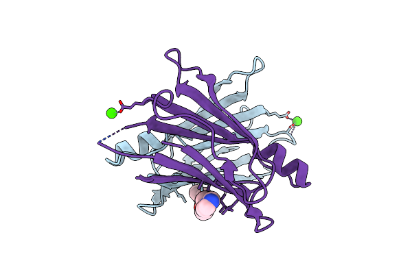 9H7C image