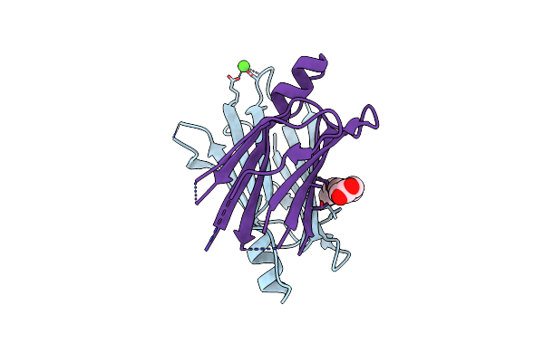 9H7E image