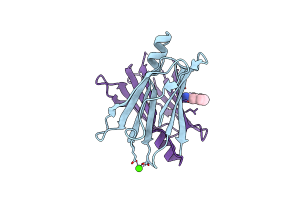 9H7H image
